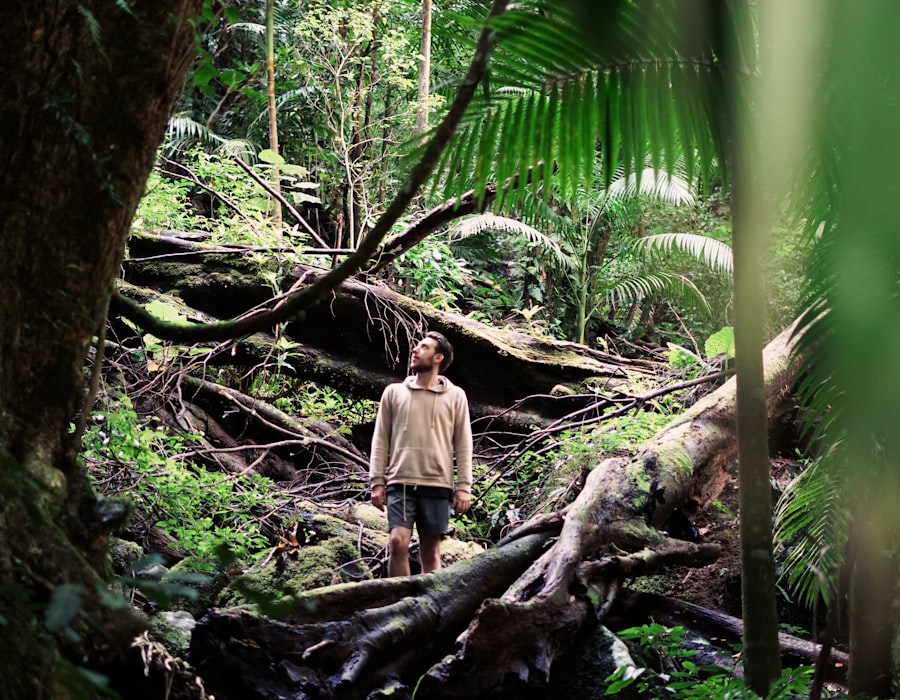 Jungle Trekking